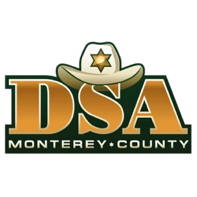 DSA logo